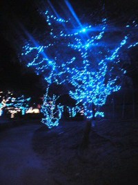 奥武山～護国神社～ 2008/01/22 14:57:53