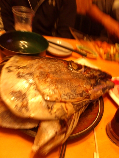 渡嘉敷島へ行きました^^