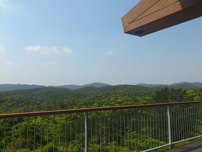 亜熱帯の森へ！