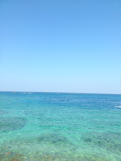 冬の海