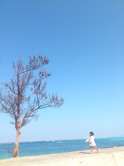 冬の海