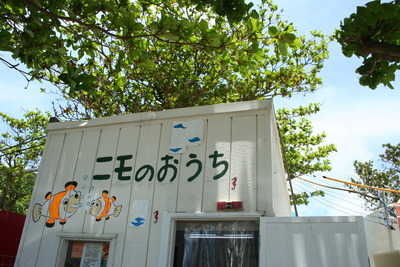 貝殻シーサー♪