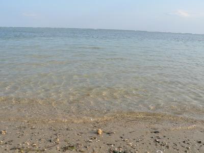 沖縄の風を添えて。