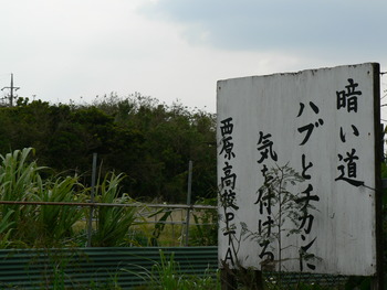おきなわでは常識です(笑)