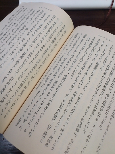沖縄にいながら