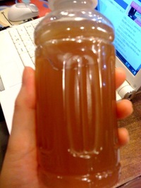 酵素 2010/01/14 08:49:57