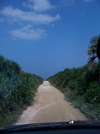 久高島 2010/01/27 21:09:41