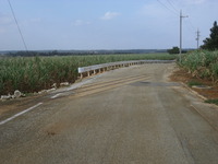 シュガートレイン線路跡の風景