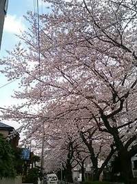 都内は