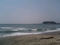 ＳＵＲＦ　ＤＡＹＳ