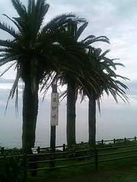 只今宮崎中 2006/07/07 12:37:57