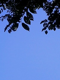 快晴 2006/09/24 11:52:57
