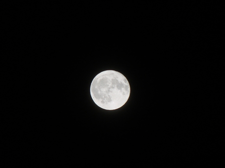 大潮です。