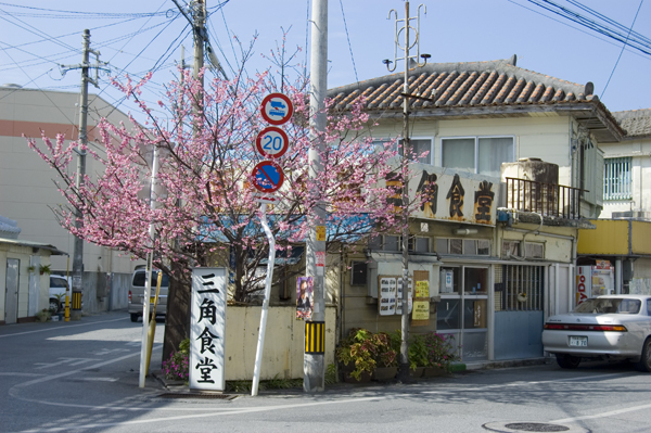 三角食堂