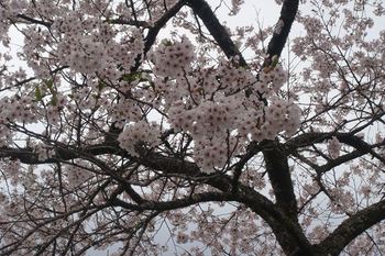 岩手県陸前高田市に行ってきました