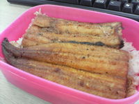 うなぎ弁当
