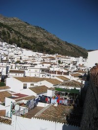 スペイン旅行～後半～