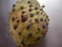 これしっとるけ？