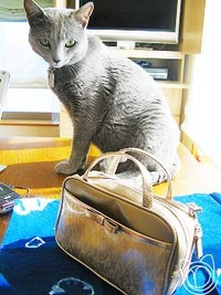 がんばっています！（笑） 2009/03/17 14:09:13