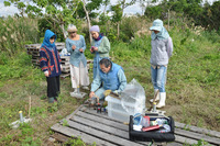 12月24日（土）採蜜＠島袋ワイワイ農園 2011/12/26 01:38:14