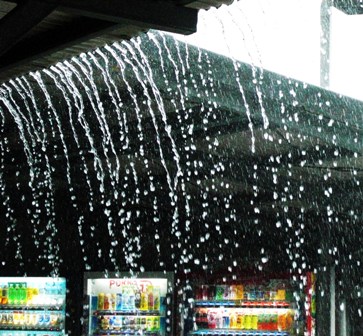 雨