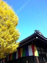 イチョウ予報 2010/12/02 14:13:10