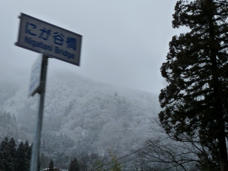 は～るよ来い！