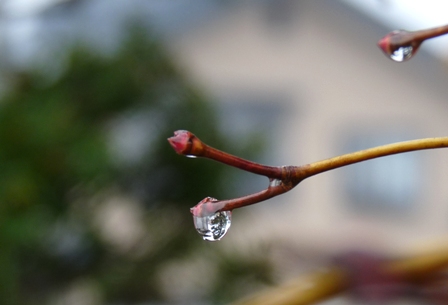 雨とコーヒーと本と