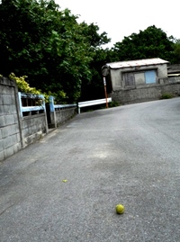 道 2010/05/26 01:26:23