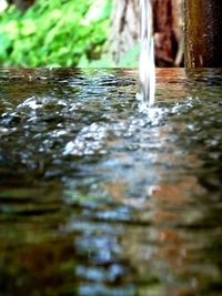 暑かった・・・。 2010/06/17 23:33:39