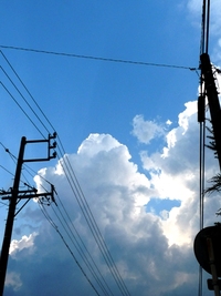 雨降って、地涼しい 2010/08/03 23:55:32