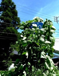 パーントゥ 2010/09/05 21:51:12