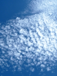 ひつじ雲 2010/09/15 01:14:09