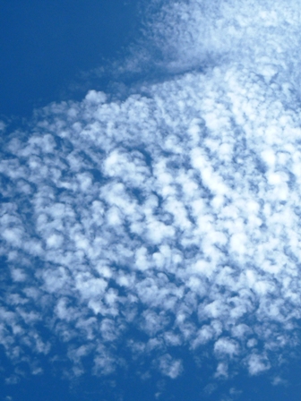 ひつじ雲