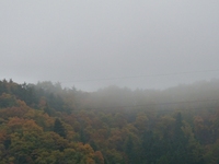 朝霧 2010/11/13 08:20:35