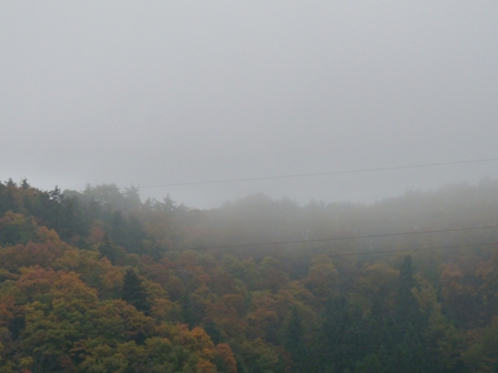 朝霧