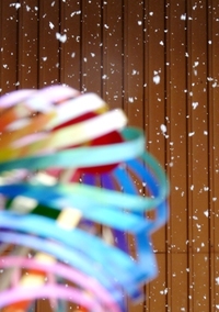 雪の日の・・・