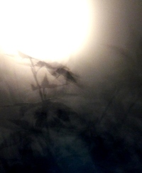 望月 2011/09/12 21:48:36