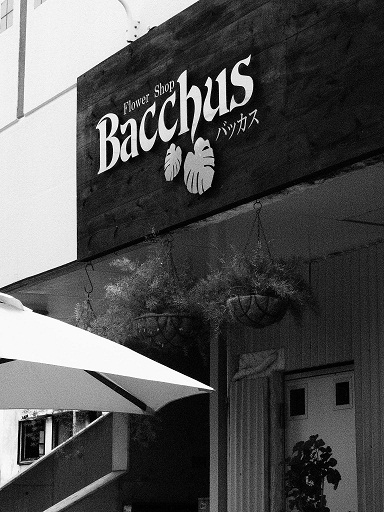 Bacchus