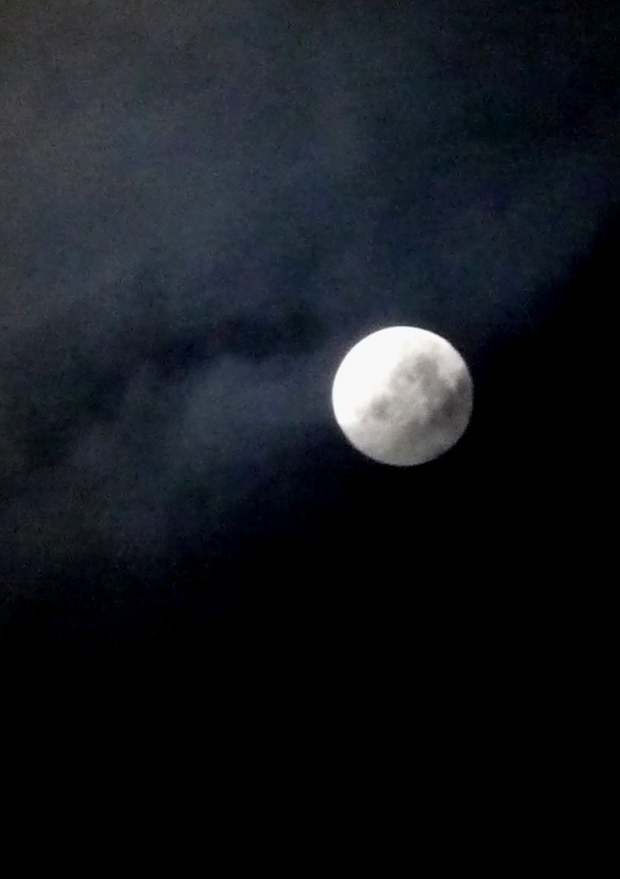 Blue　Blue　Moon