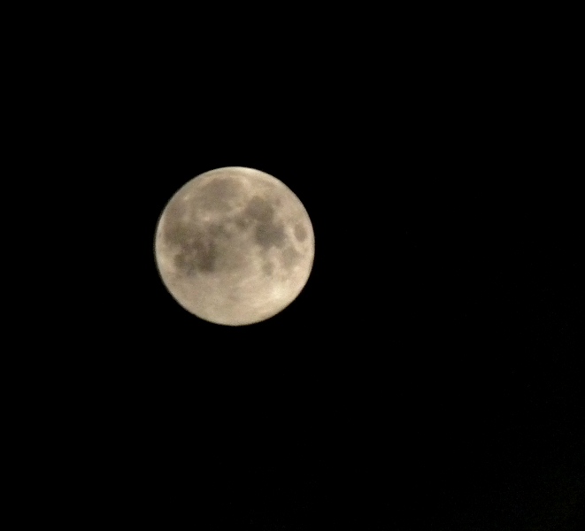Blue　Blue　Moon