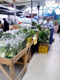 すごい！人いっぱい！！ 2010/01/23 23:34:38