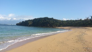 砂浜でお散歩