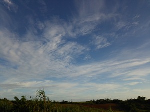 久しぶりの太陽