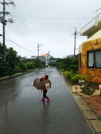 冷たい雨
