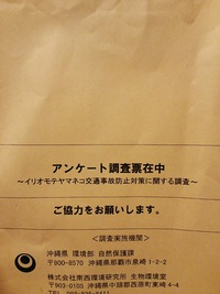 ヤマネコを守るには…