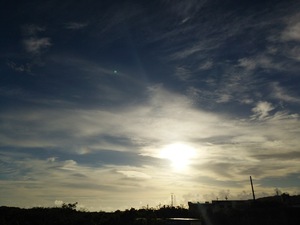 久しぶりの太陽
