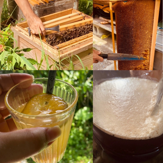 想定外の発酵蜂蜜