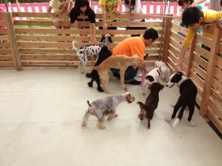 ☆４月イベント　inじんぶん館☆