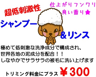 イチオシ!!!